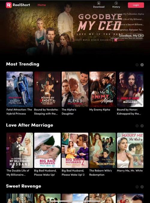 国产在线最新,创新驱动，引领行业发展新篇章